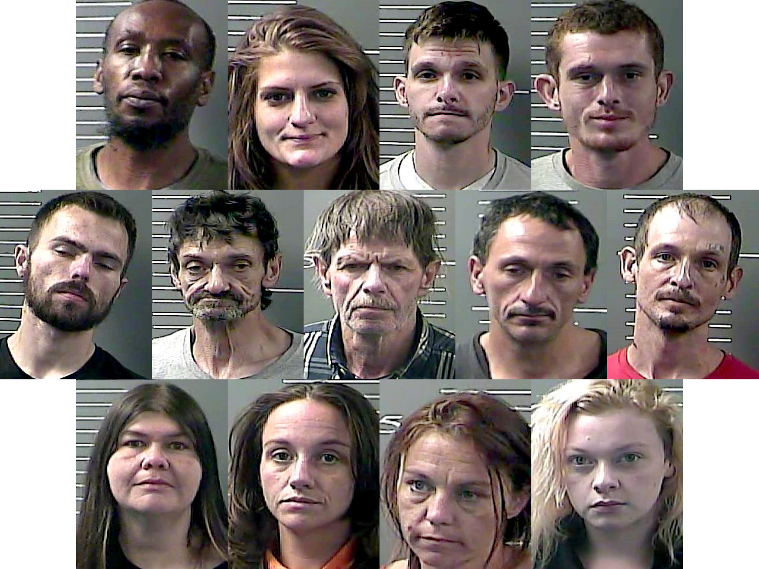 13 arrested following Louisa drug raid