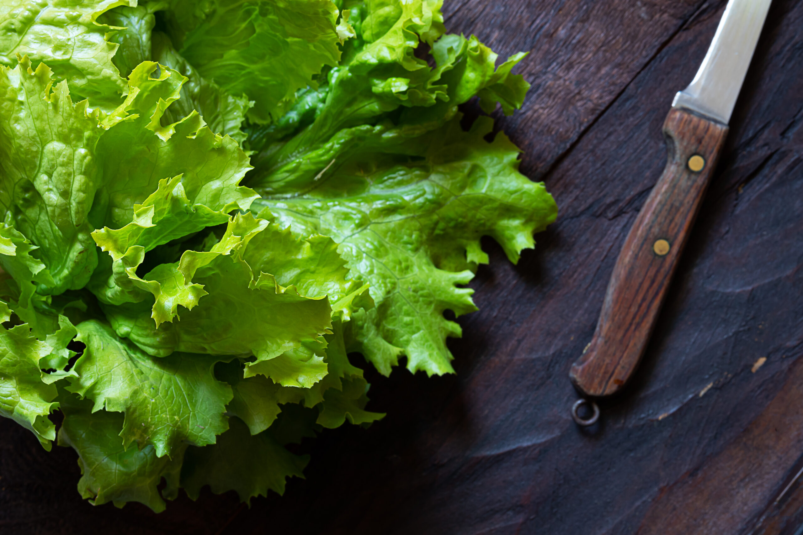 OPINION: Don’t want explosive diarrhea? Shop local and regulate Big Food