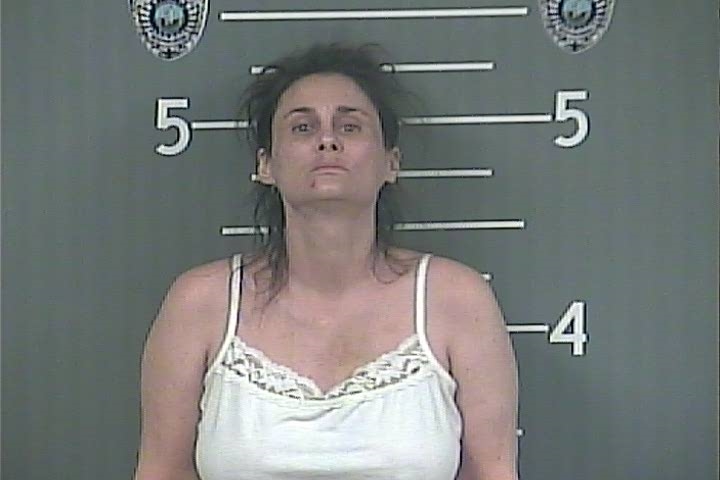 Woman facing felony charge after allegedly claiming to be police officer