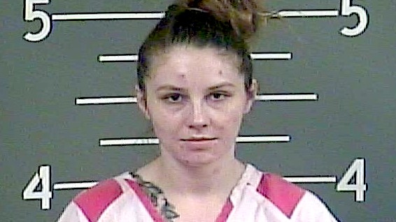 Perry woman pleads guilty in carjacking case