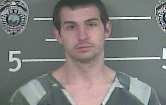 Suspect runs, finds himself up a tree without a paddle