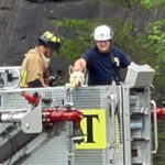 Firefighters rescued the pooch from her precarious perch.