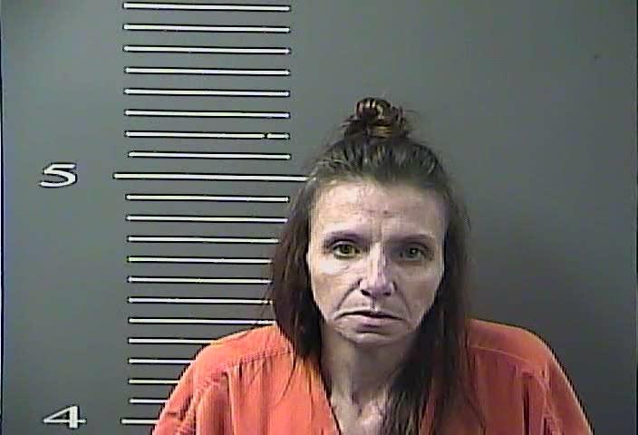 West Virginia woman tagged with several drug charges in Louisa