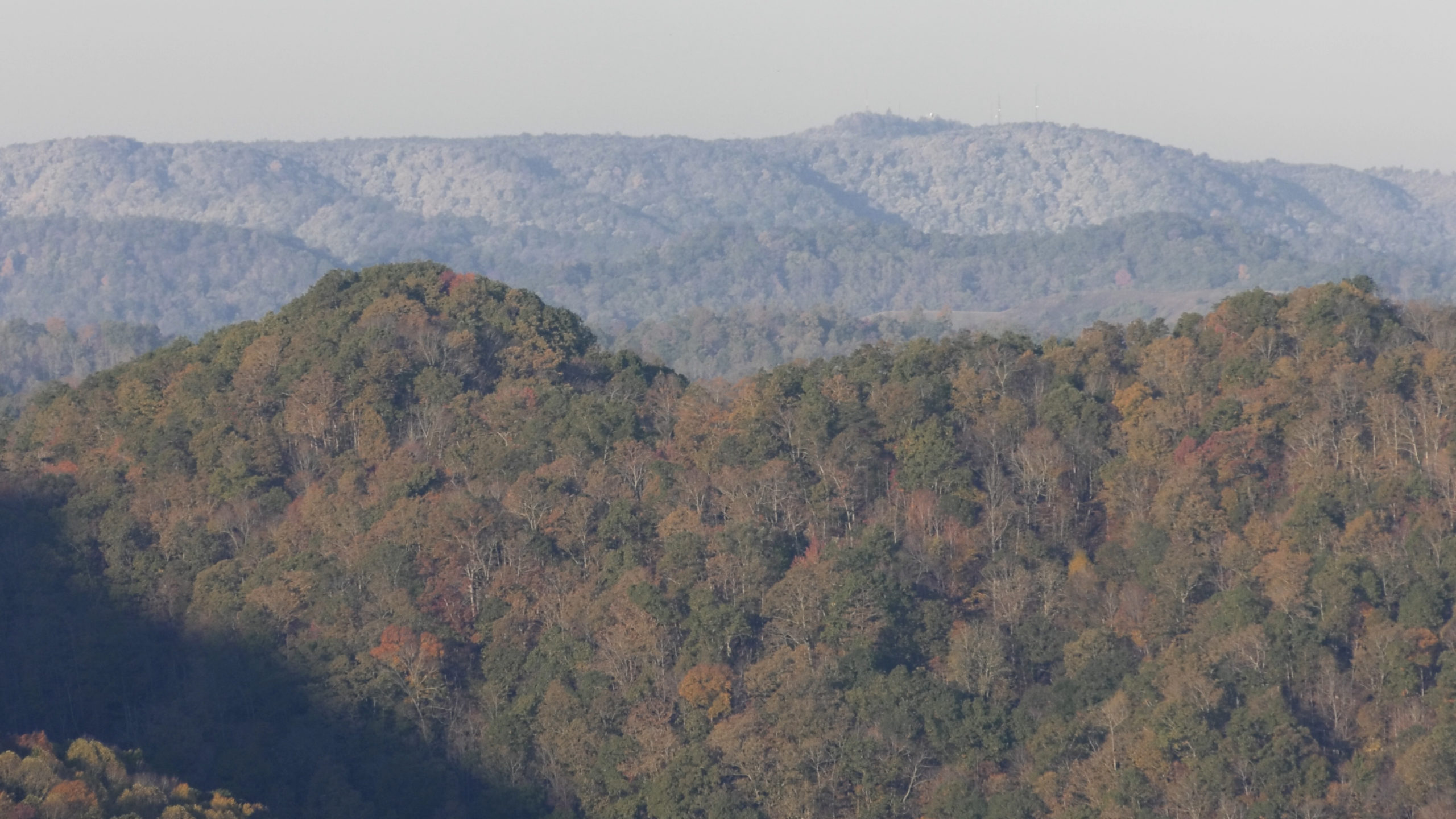 Kentucky Wildlands holding fall photo contest