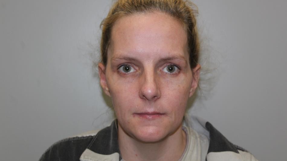 Norton woman to plead guilty to gun charge
