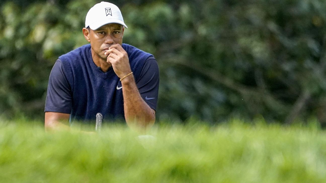Tiger ends erratic 1st round with double bogey
