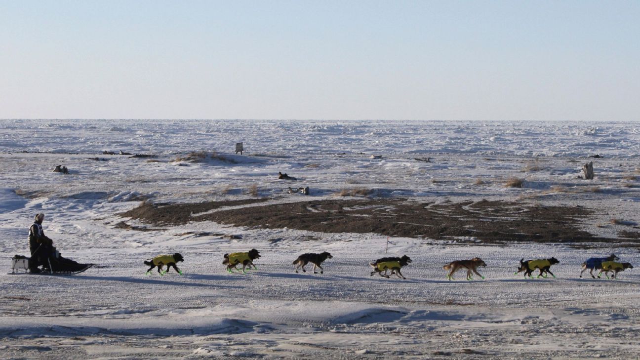 Iditarod winner from Norway stranded in Alaska