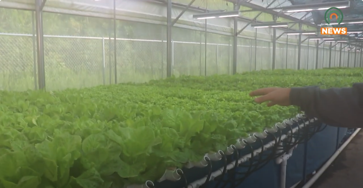 Organic Grocery Store is Coming to Kermit