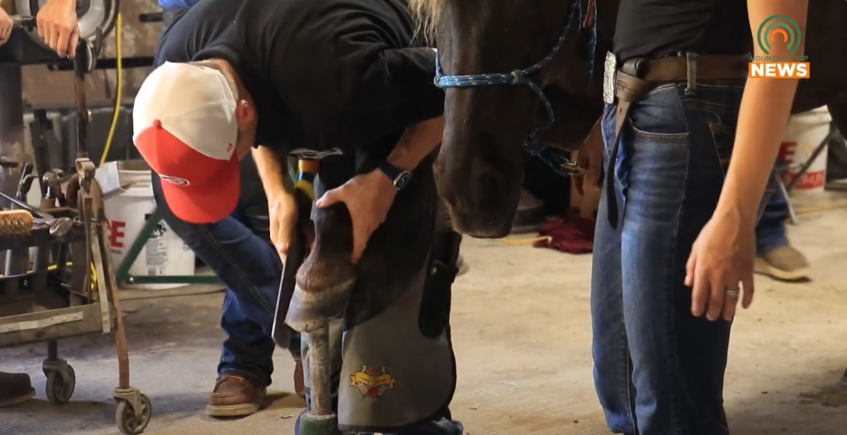 Benefit held for horseshoeing school instructor
