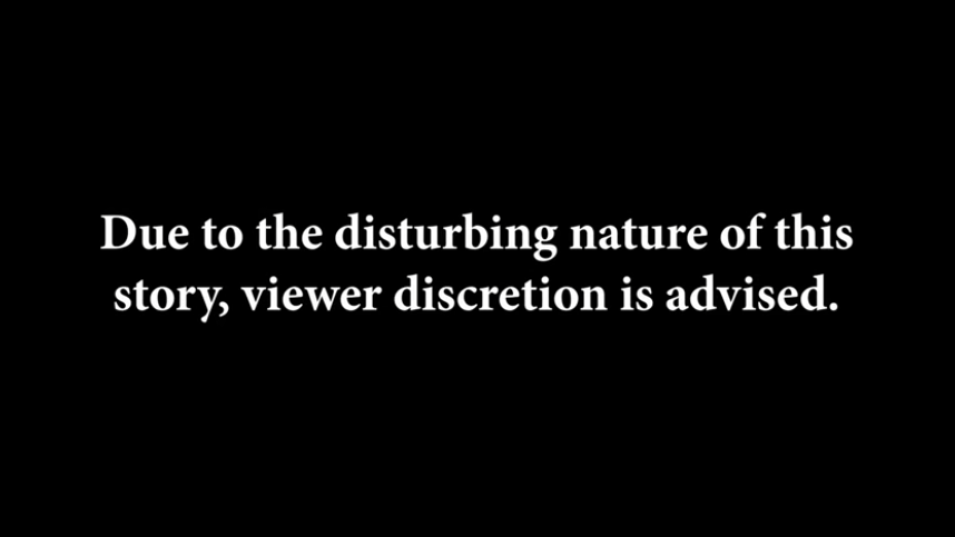 Issue of feral horses brought again to Pike County officials