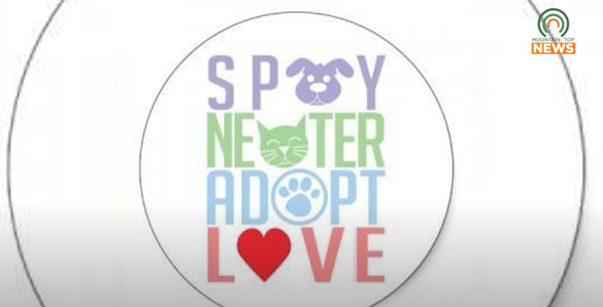 Woofstock Returns to Paintsville on September 6