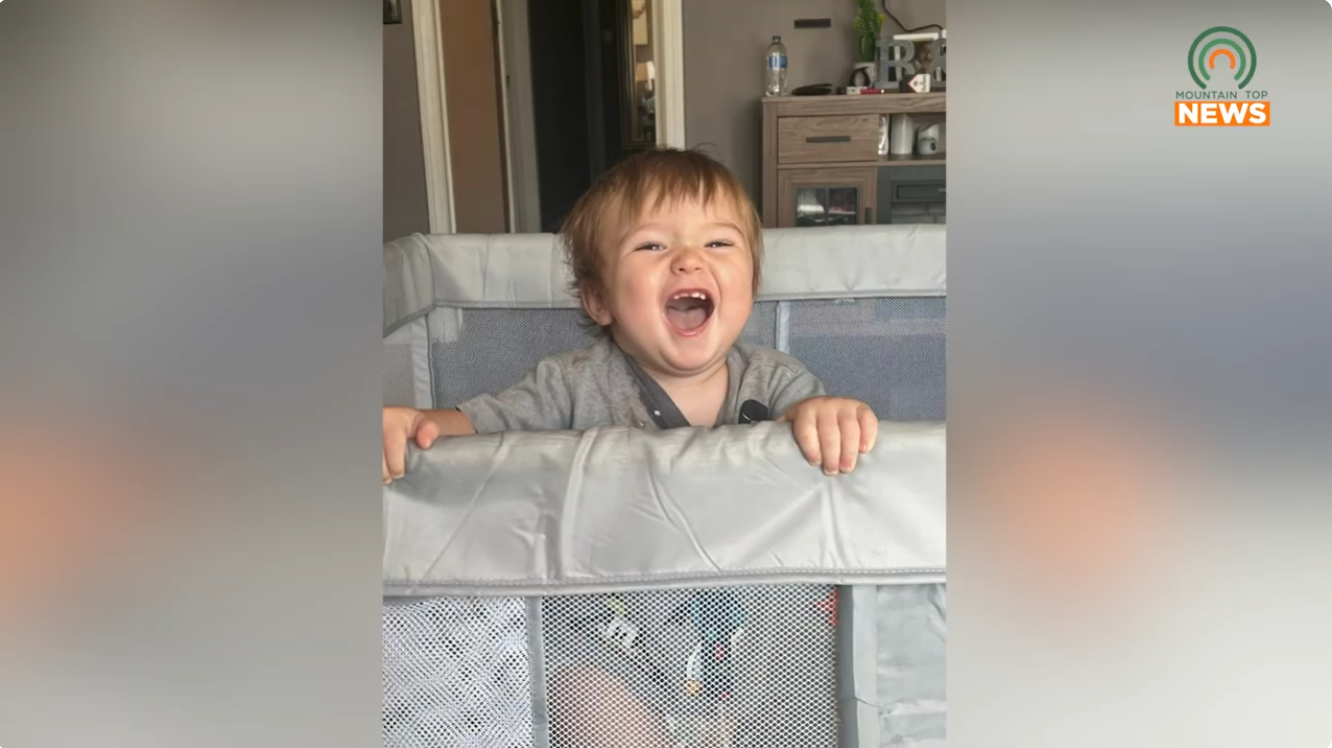 Celebration of life planned for toddler Arlo Shepherd