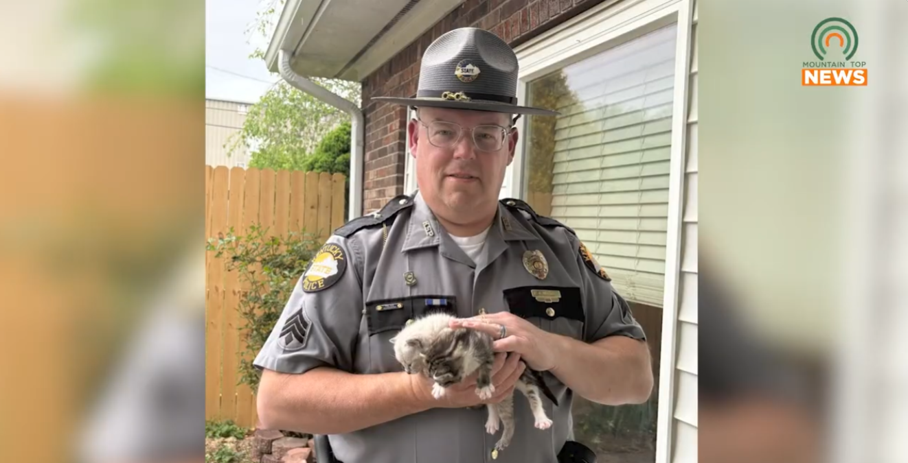 KSP Post 9 helps rescue kittens