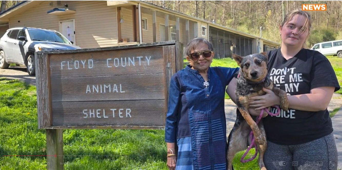 Adoption fees waived at Floyd County Animal Shelter during May