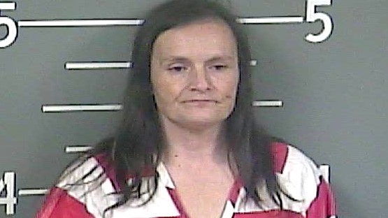 Burned-out bulb leads police to drug trafficking arrest