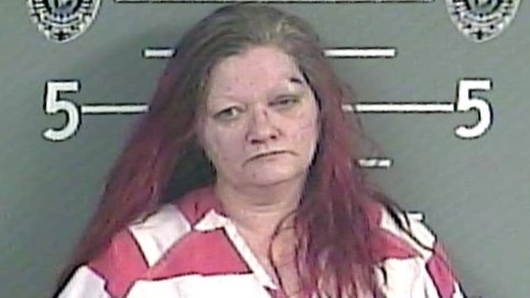 Pike woman charged with assault for allegedly punching police officer