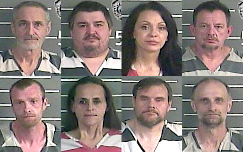 Top row: Anthony Barron, Darren Bartley, Bridget Bolden and Henry Cleaver. Bottom row: Joseph Hopkins, Layna Rose, Joey Spears and Brian Young.