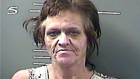 Magoffin woman charged with trying to stab officer